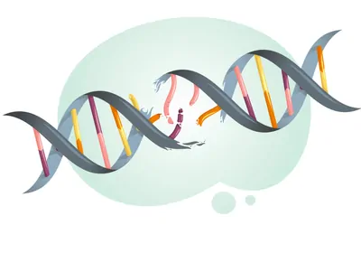illustration of a broken DNA strand
